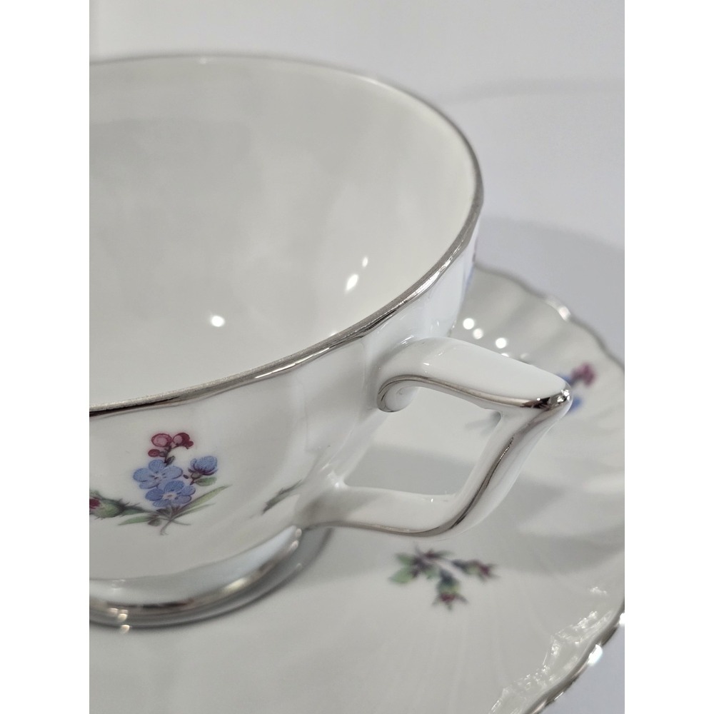 Vintage Royal Tettau Dresden Flowers Platinum Trim Footed Cup & Saucer - Picture 4 of 5